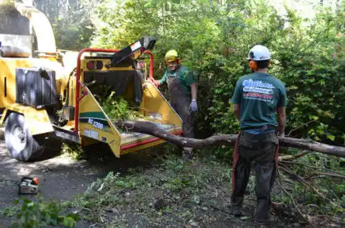 tree services Helen